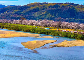 淀川河川公园背割堤地区
