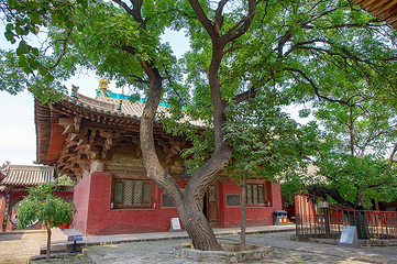镇国寺第 11 张图片