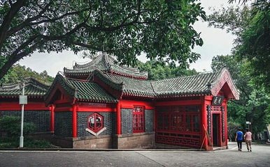 鹅岭公园第 64 张图片