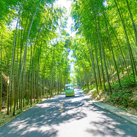 宜兴竹海风景区