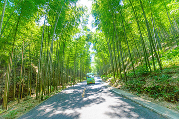 宜兴竹海风景区第 1 张图片