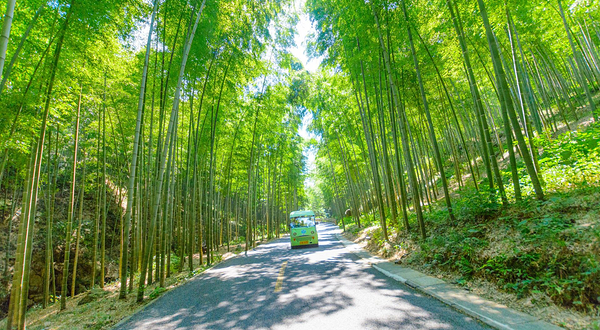 宜兴竹海风景区