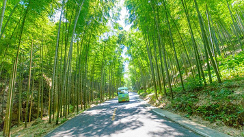 宜兴竹海风景区
