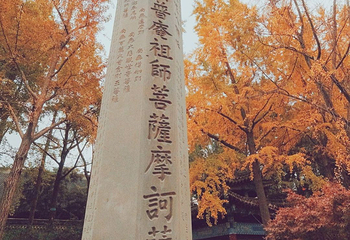 文殊院第 47 张图片