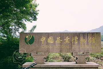 中国茶叶博物馆第 21 张图片
