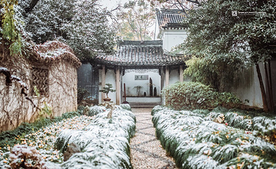 绮园景区第 14 张图片