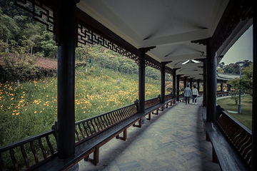 杨府山第 8 张图片