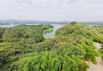 南湾湖风景区第 21 张图片