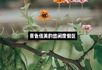 桐庐珊瑚岭乡村旅游度假区第 26 张图片