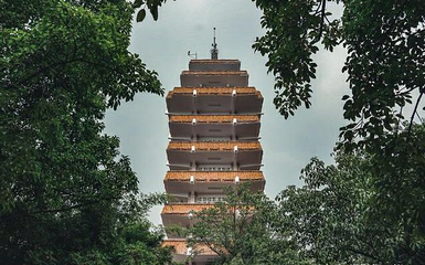 鹅岭公园第 19 张图片