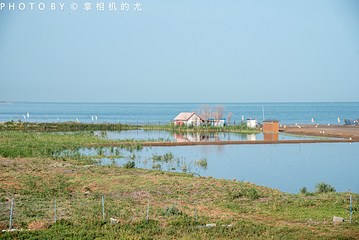 博斯腾湖第 11 张图片