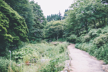 六甲高山植物园第 9 张图片