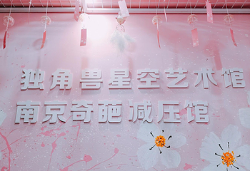 独角兽星空艺术馆第 25 张图片
