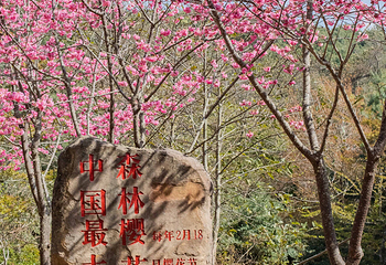 磨盘山国家森林公园第 31 张图片