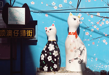 顶澳仔猫街第 27 张图片