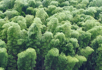 石舍村第 16 张图片