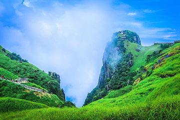 高山草甸第 3 张图片