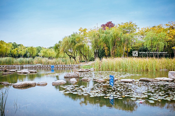 暨阳湖生态园区第 3 张图片