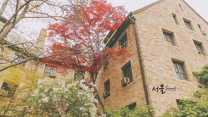 梨花女子大学第 16 张图片
