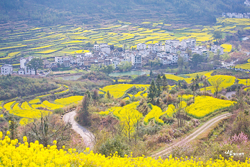 江岭景区第 38 张图片