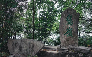 鹅岭公园第 29 张图片