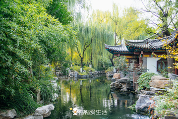 趵突泉景区第 11 张图片