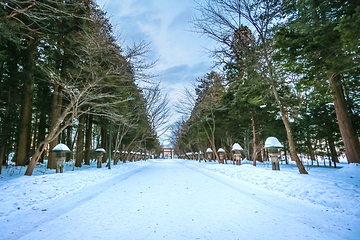 北海道神宫第 9 张图片
