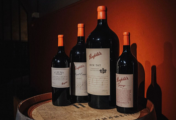 奔富玛吉尔酒庄第 47 张图片