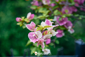 上李水库公园第 8 张图片