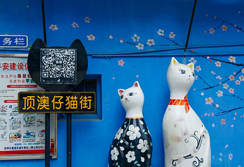 顶澳仔猫街第 34 张图片