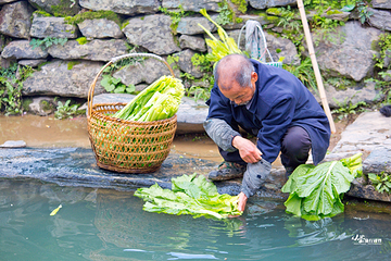庆源古村第 10 张图片
