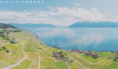 拉沃葡萄酒博物馆第 49 张图片