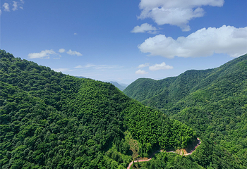 醉山野景区第 30 张图片