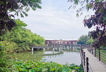 南湾湖风景区第 15 张图片