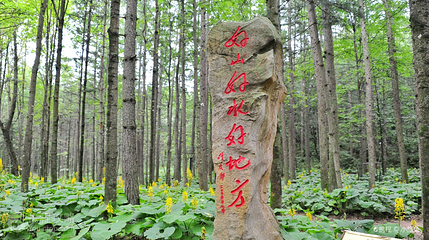 白云山森林氧吧游览区第 5 张图片