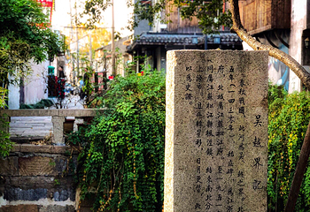 枫泾古镇第 34 张图片