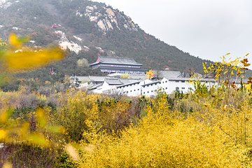 圣经山风景区第 14 张图片