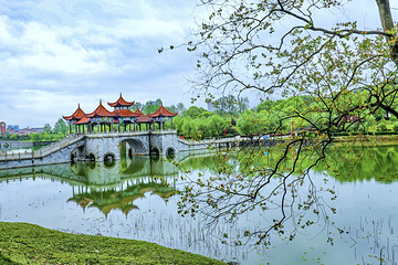 袁山公园第 30 张图片
