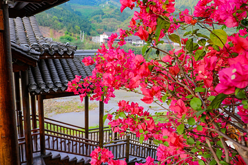 土城古镇景区第 30 张图片