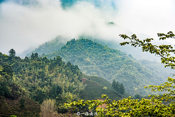 莽山旅游区国家森林公园第 53 张图片