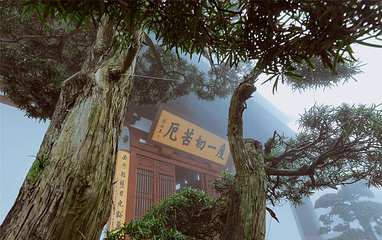 径山第 51 张图片