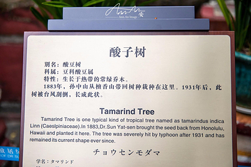 孙中山故居纪念馆第 32 张图片