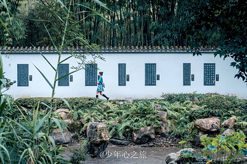 浣花溪公园第 13 张图片