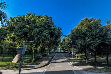 四川大学(望江校区)第 17 张图片