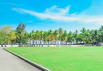 小东海第 20 张图片