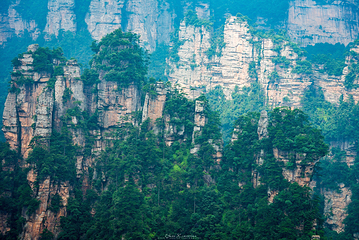 袁家界景区第 45 张图片