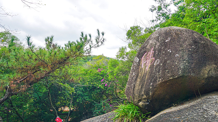厦门园林植物园-五老峰第 16 张图片