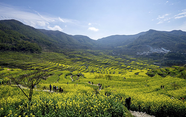 覆卮山景区第 4 张图片