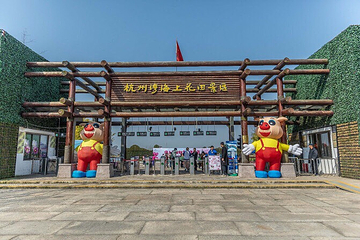 杭州湾海上花田第 45 张图片