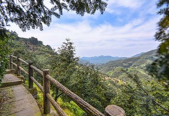 香榧森林公园第 5 张图片